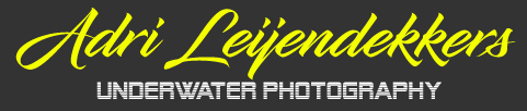 Adri Leijendekkers Underwater Photography
